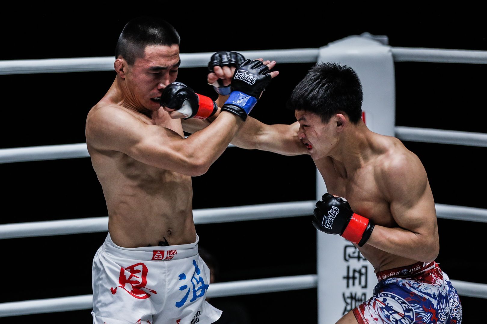 Hu Yong HuyixibaiDC 3826.jpg