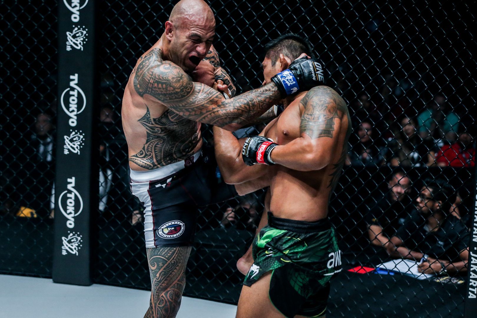 Aung La N Sang defeats Brandon Vera at ONE CENTURY DUX 2809.jpg