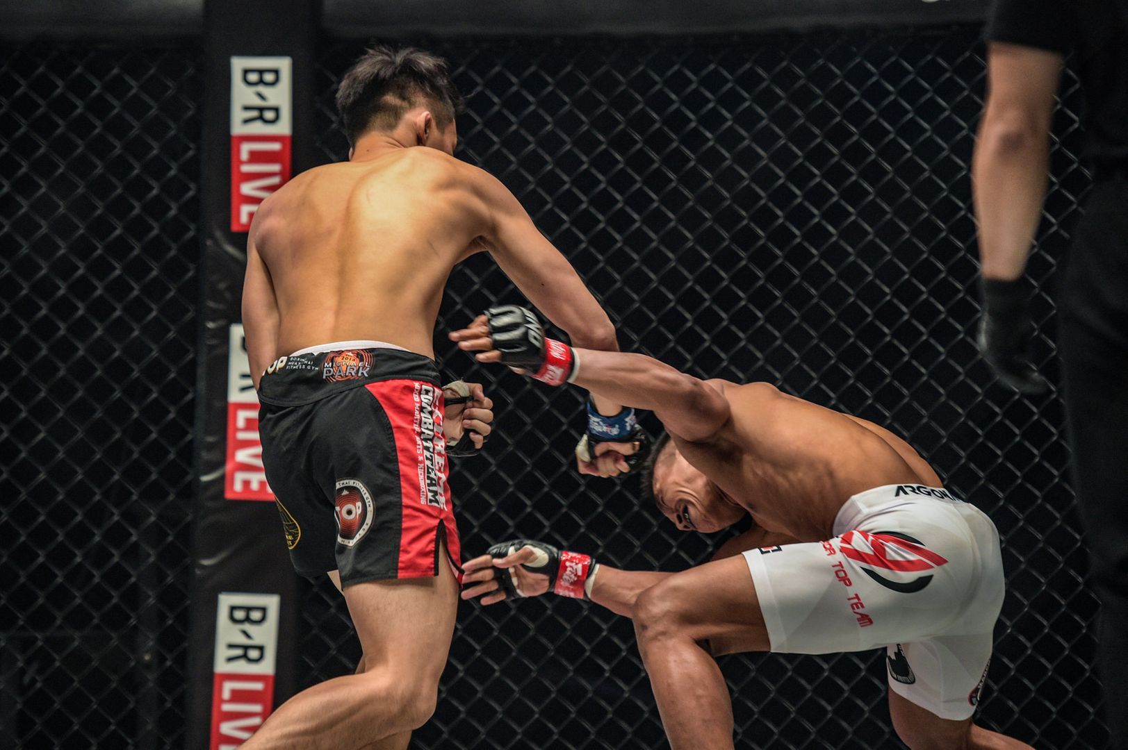 Kwon Won Il defeats Sunoto at ONE CENTURYYK 6836.jpg