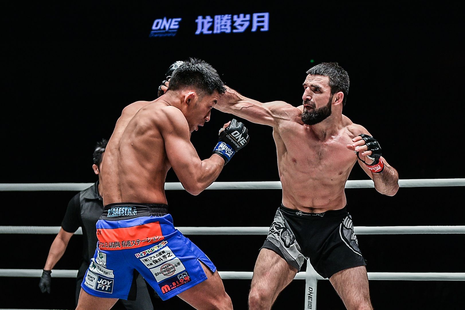 Russian star Yusup Saadulaev cracks Daichi Takenaka with a hook