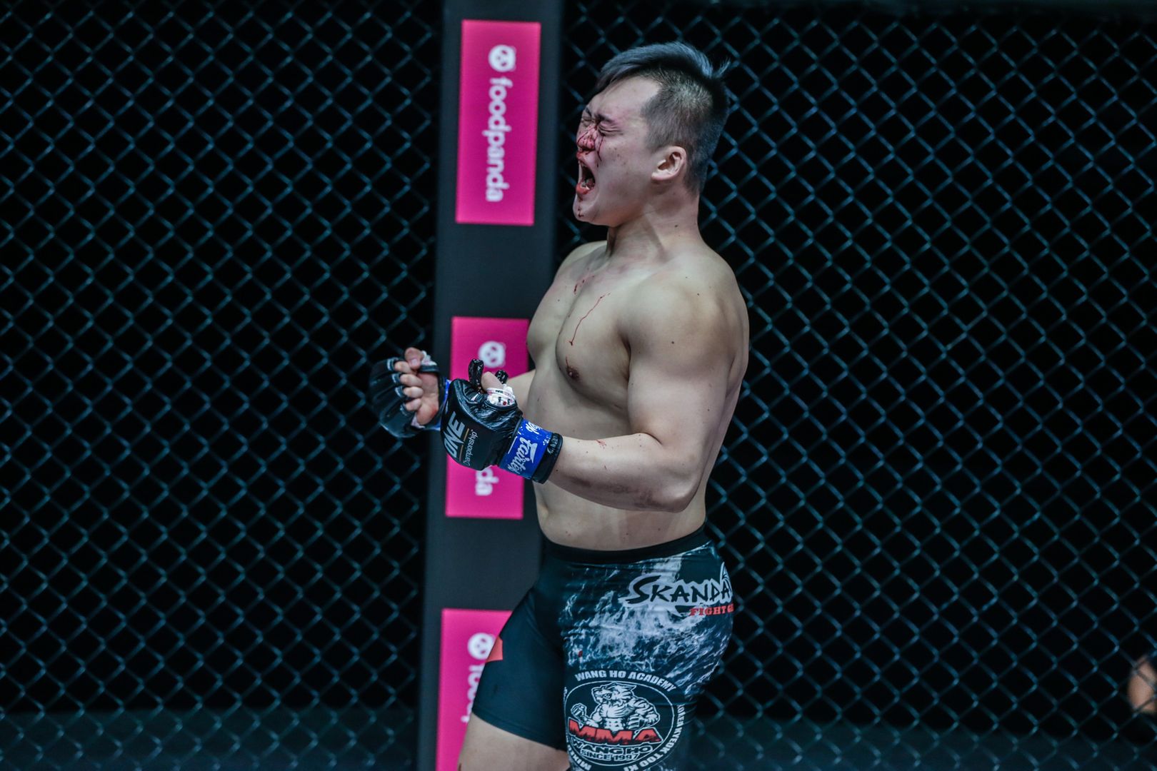 MMA Fight: Kang Ji Won fights Amir Aliakbari at ONE: FISTS OF FURY II
