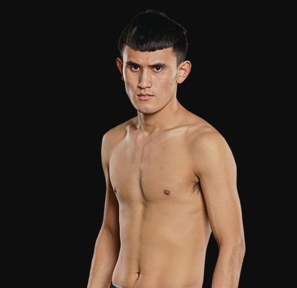 Hu_Li_Zong hero 1200x1165 600x583