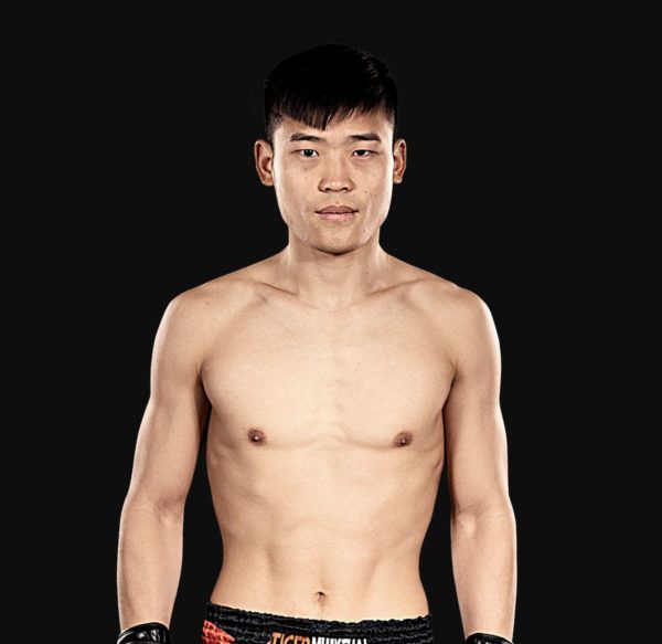 Xie_Long_Long hero 1200x1165 600x583