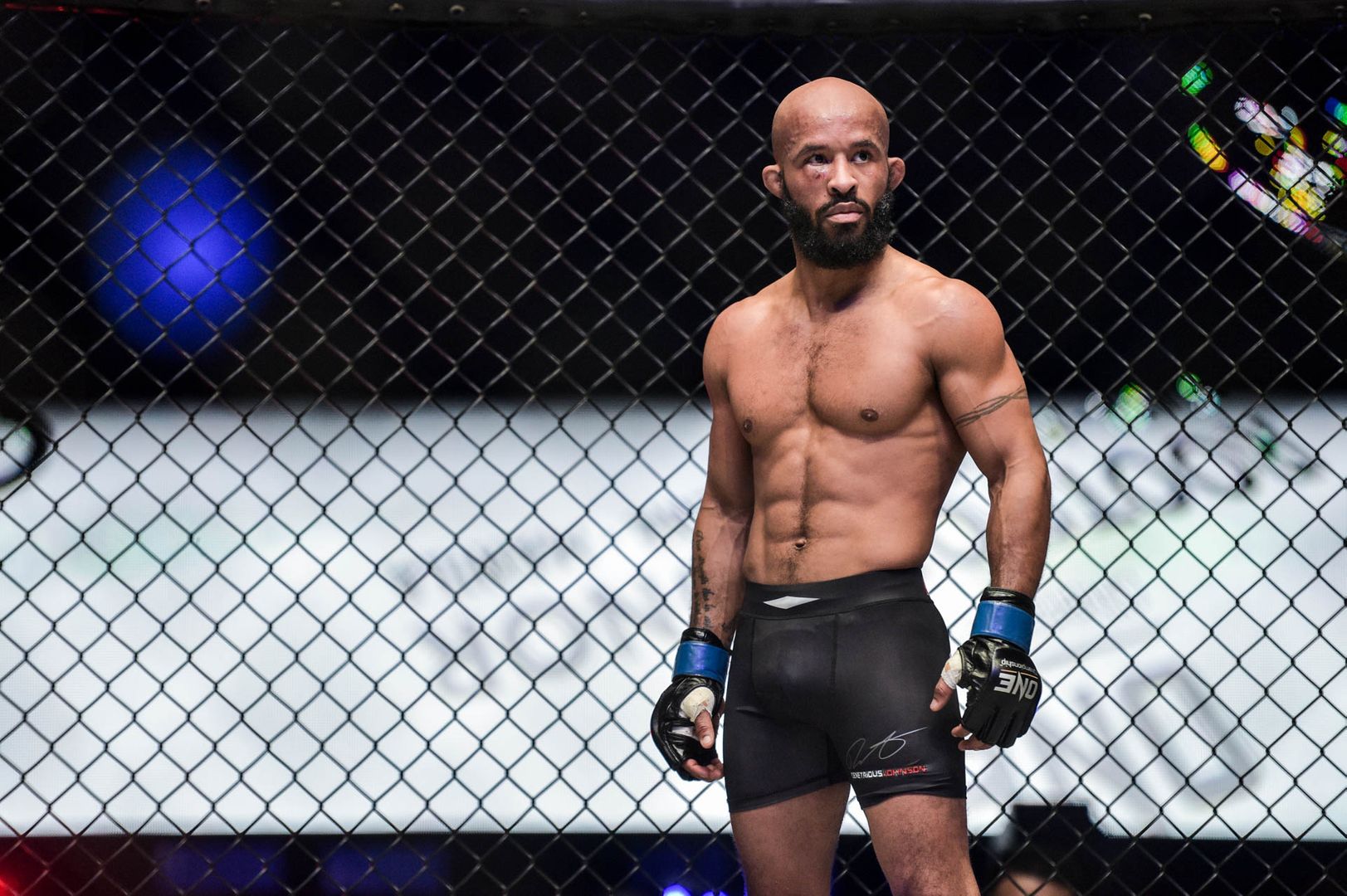 Demetrious Johnson YK4_8847