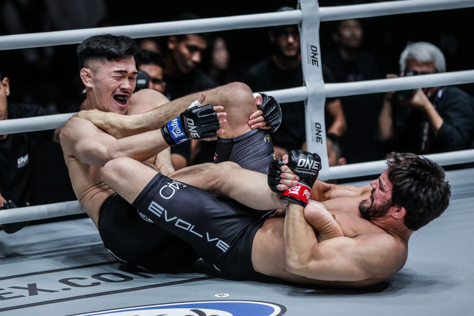 Garry Tonon DC 5638