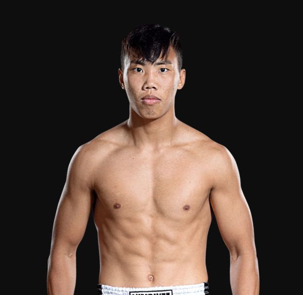 Zhang_Shuai hero 1200x1165 1 600x583