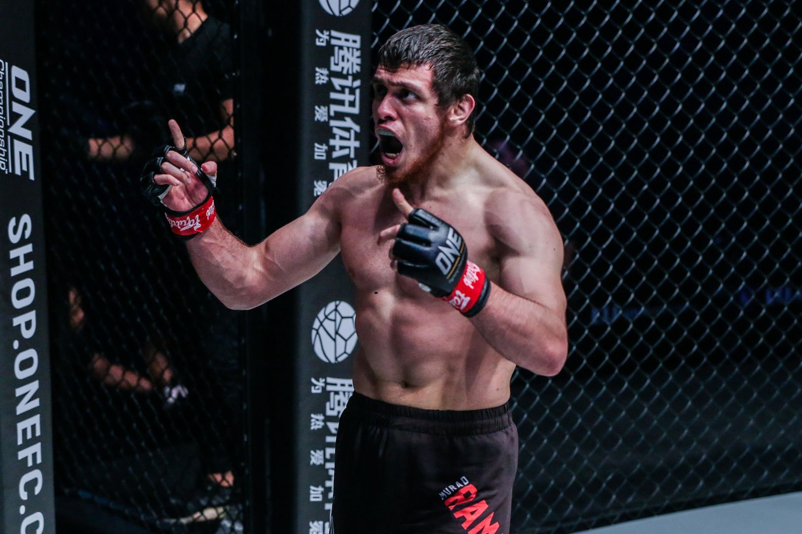 Murad Ramazanov defeats Bae Myung Ho ONE KING OF THE JUNGLE DC DUX_0190