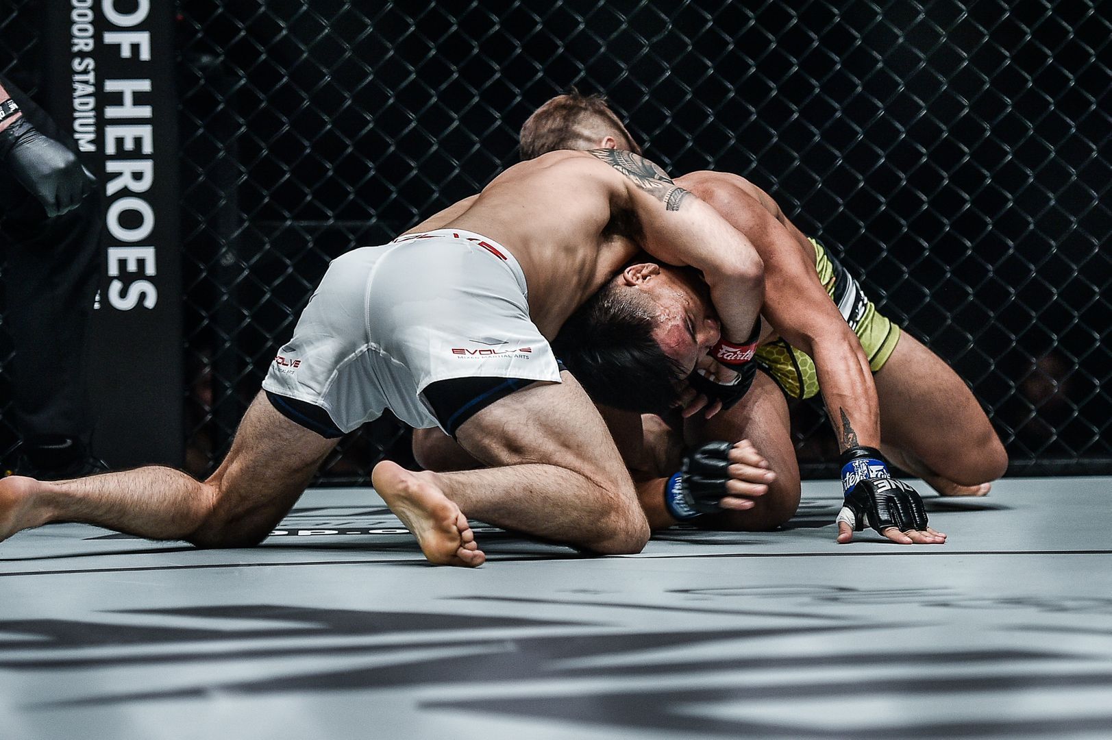 Troy Worthen defeats Mark Fairtex Abelardo ONE KING OF THE JUNGLE DA 0445