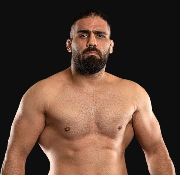 Mehdi_Barghi hero 1200x1165 1 600x583