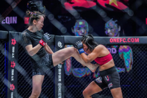Lin Heqin Bi Nguyen BAD BLOOD 1920X1280 60
