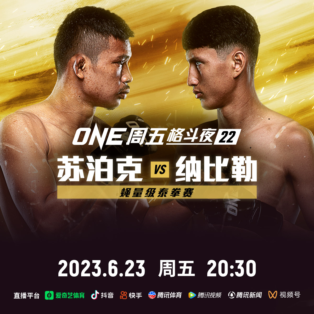 苏泊克对战纳比勒-阿纳尼