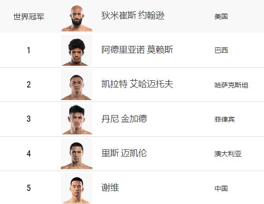 蝇量级综合格斗排名