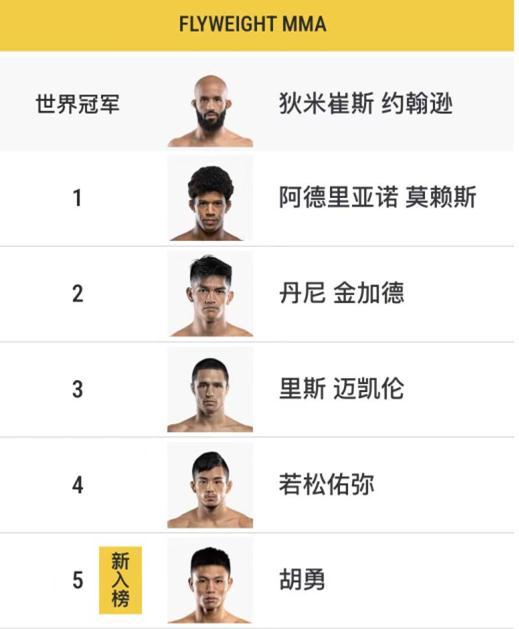蝇量级的前五榜单