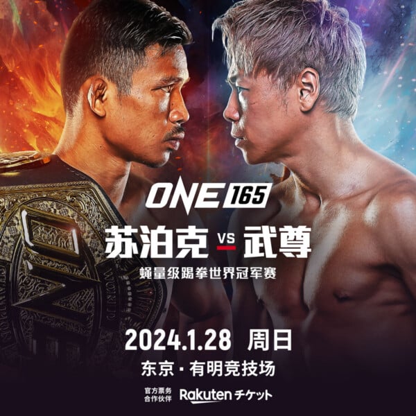 武尊对战苏泊克