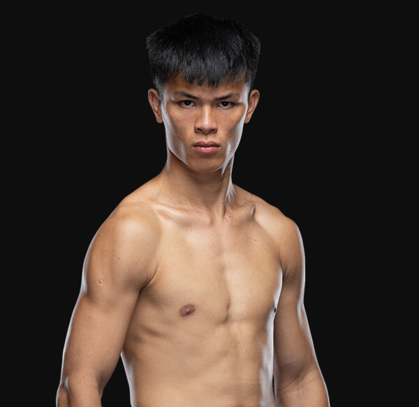 Lan_Shanteng Hero 1200x1165 2