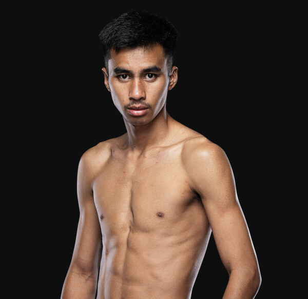 Apidet Hero 1200x1165 1