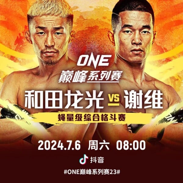 谢维对战和田龙光