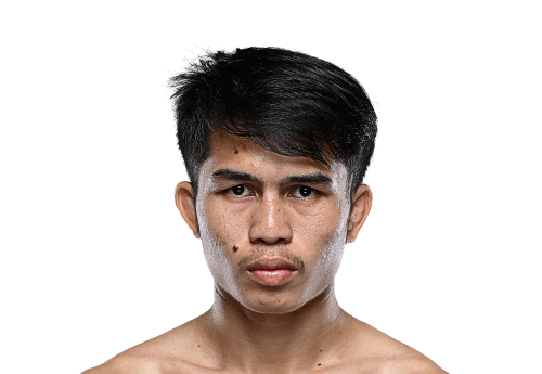 Panpet Avatar 500x345 1