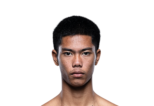 Petthongkao Avatar 500x345 1