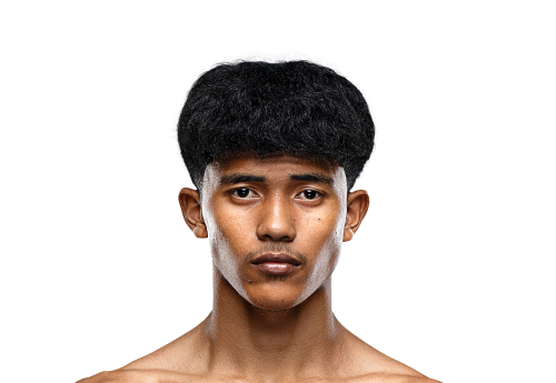 Suajan Avatar 500x345 1