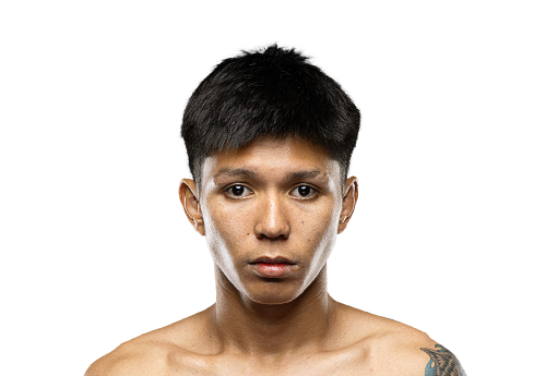 Petnamtan Avatar 500x345 1