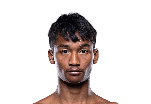 Petdam avatar 500x345 1