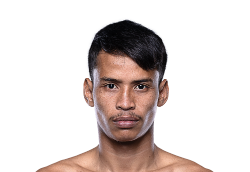 Pepsi avatar 500x345 1