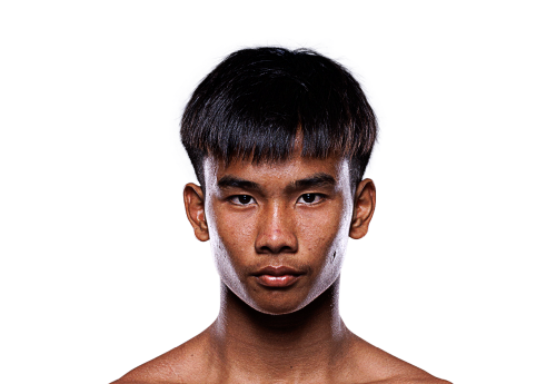 Brucelee avatar 500x345 1