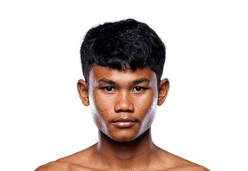Petkongfa Avatar 500x345 1
